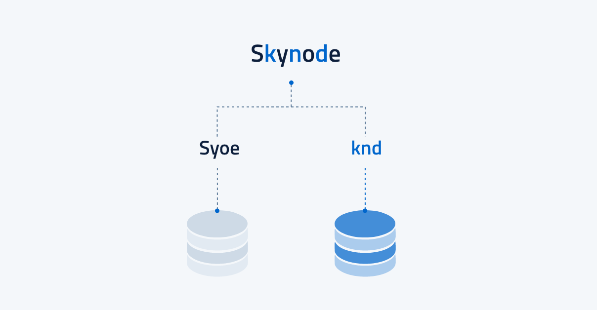 skynode-raid-0-b230fffc3bb7fd1a601251b56f980d0c.png