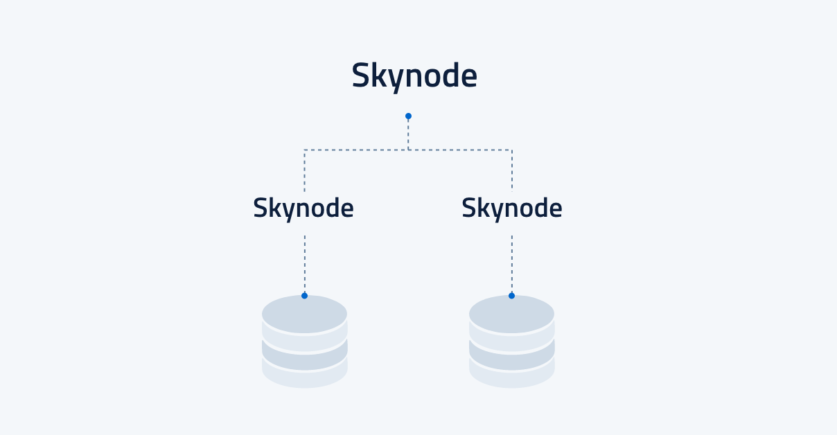skynode-raid-1-f1090ad5b1ee771185edadec2bb21165.png